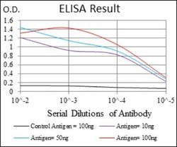 Glucose 6 Phosphate Dehydrogenase Antibody (2H7) - Azide and BSA Free,